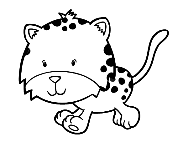 Раскраска: гепард (Животные) #7889 - Бесплатные раскраски для печати