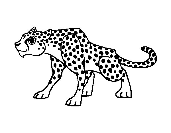 Раскраска: гепард (Животные) #7892 - Бесплатные раскраски для печати