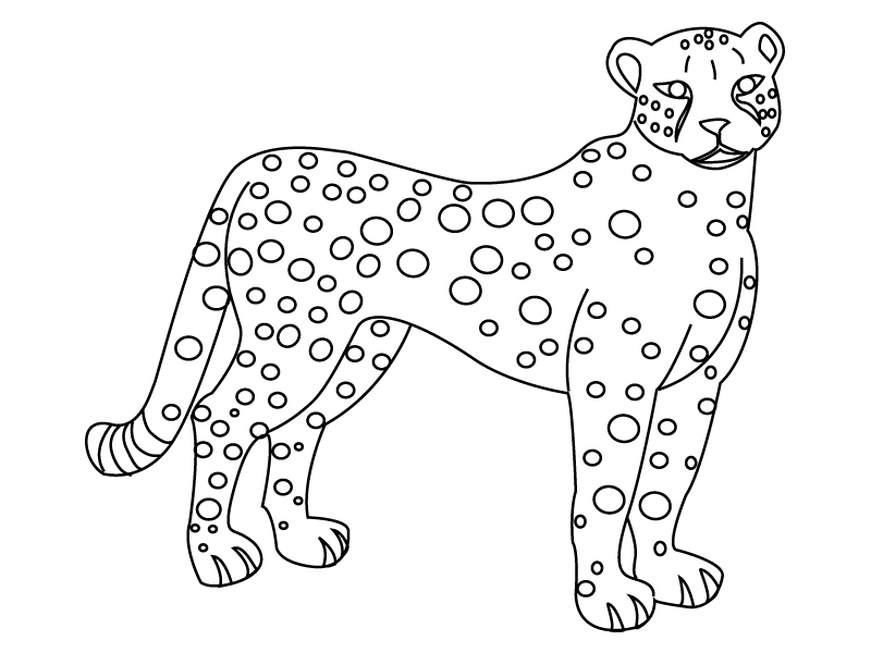 Раскраска: гепард (Животные) #7910 - Бесплатные раскраски для печати