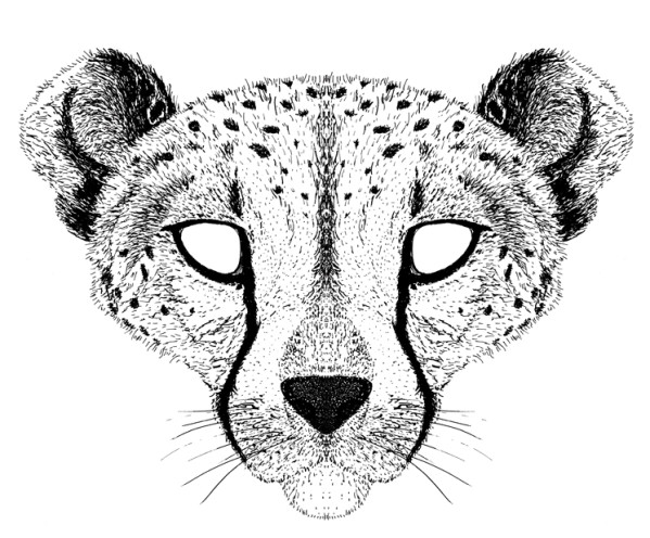 Раскраска: гепард (Животные) #7922 - Бесплатные раскраски для печати