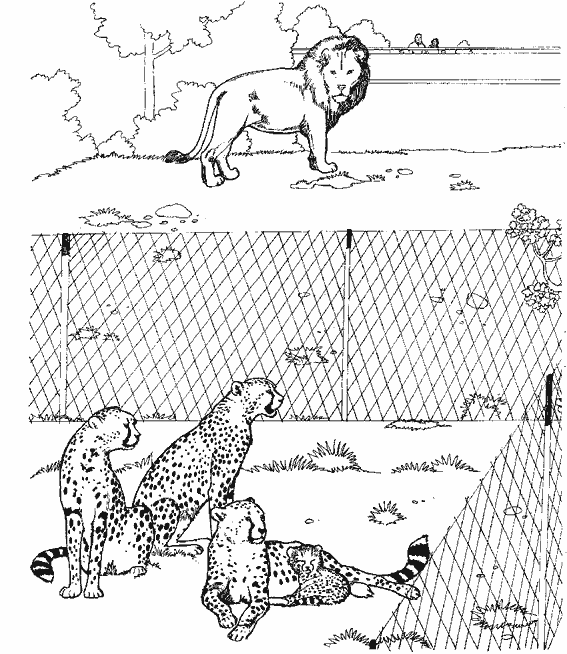 Раскраска: гепард (Животные) #7925 - Бесплатные раскраски для печати