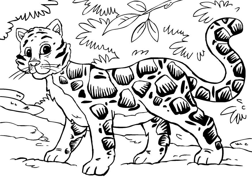 Раскраска: гепард (Животные) #7970 - Бесплатные раскраски для печати