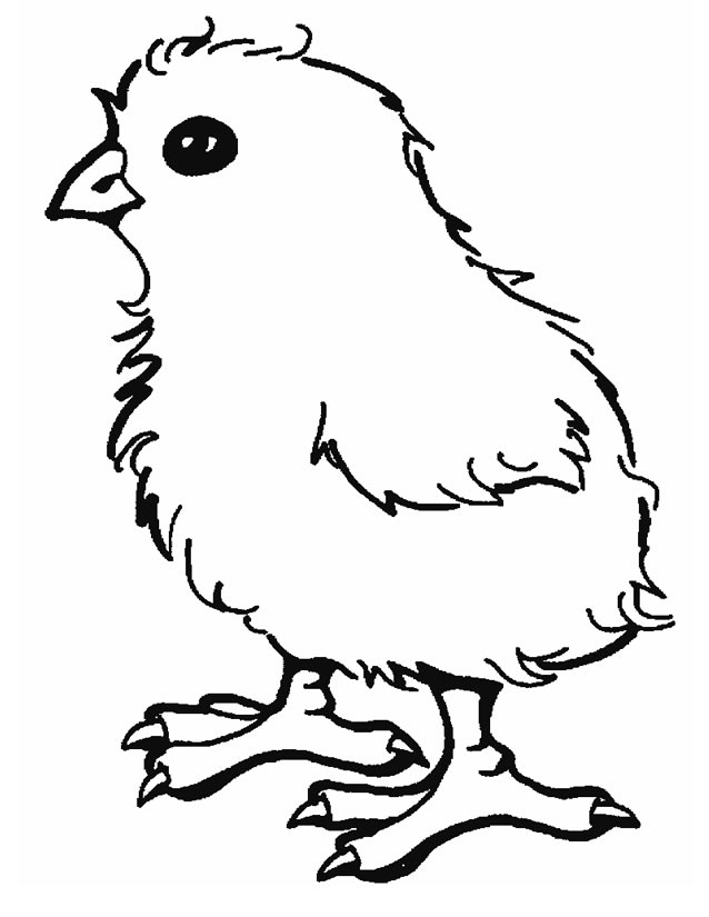 Раскраска: цыпленок (Животные) #15311 - Бесплатные раскраски для печати