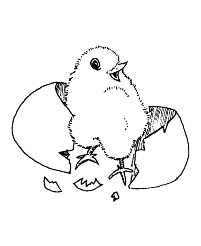 Раскраска: цыпленок (Животные) #15327 - Бесплатные раскраски для печати