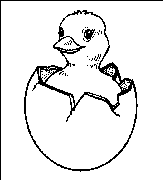 Раскраска: цыпленок (Животные) #15331 - Бесплатные раскраски для печати