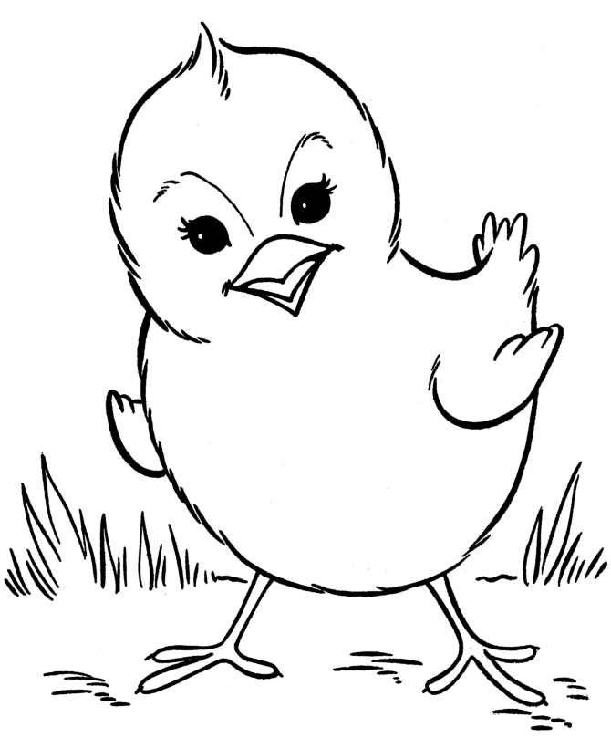 Раскраска: цыпленок (Животные) #15338 - Бесплатные раскраски для печати