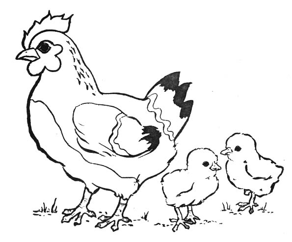Раскраска: цыпленок (Животные) #15352 - Бесплатные раскраски для печати