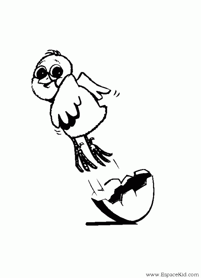 Раскраска: цыпленок (Животные) #15378 - Бесплатные раскраски для печати