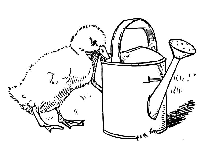 Раскраска: цыпленок (Животные) #15405 - Бесплатные раскраски для печати