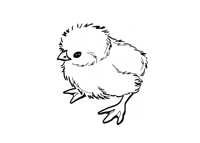 Раскраска: цыпленок (Животные) #15412 - Бесплатные раскраски для печати