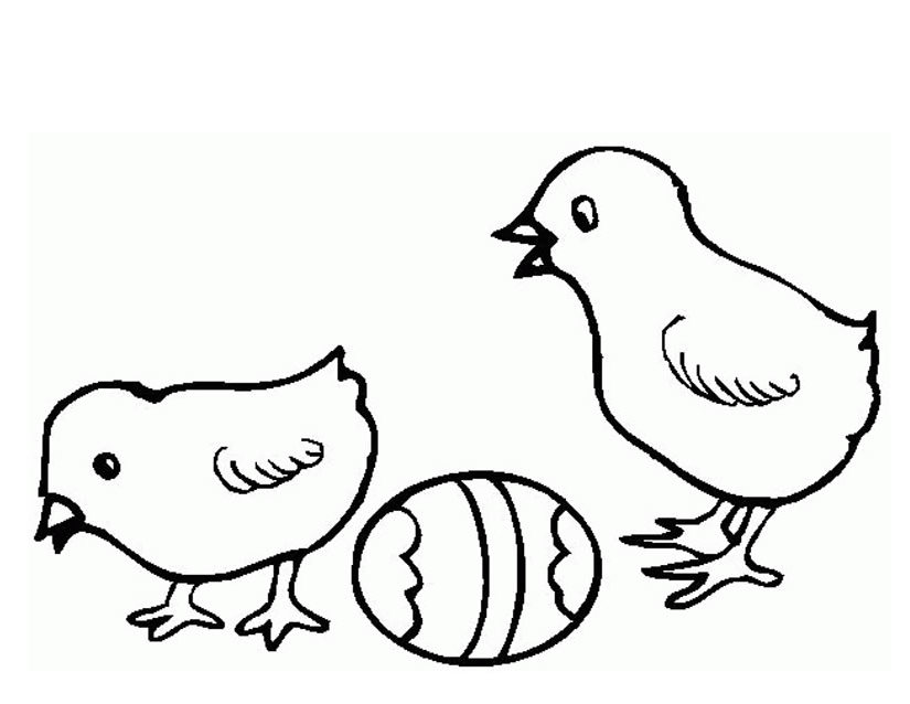 Раскраска: цыпленок (Животные) #15416 - Бесплатные раскраски для печати