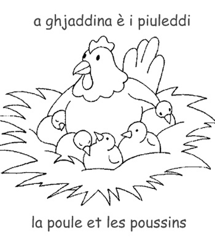 Раскраска: цыпленок (Животные) #15471 - Бесплатные раскраски для печати