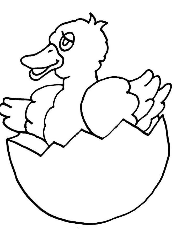 Раскраска: цыпленок (Животные) #15478 - Бесплатные раскраски для печати