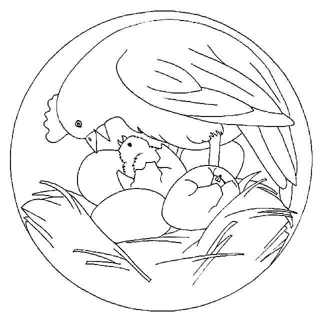 Раскраска: цыпленок (Животные) #15499 - Бесплатные раскраски для печати