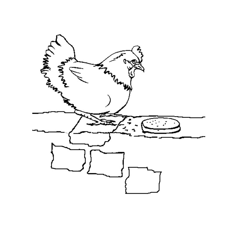 Раскраска: курица (Животные) #17230 - Бесплатные раскраски для печати