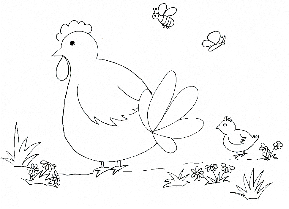 Раскраска: курица (Животные) #17232 - Бесплатные раскраски для печати