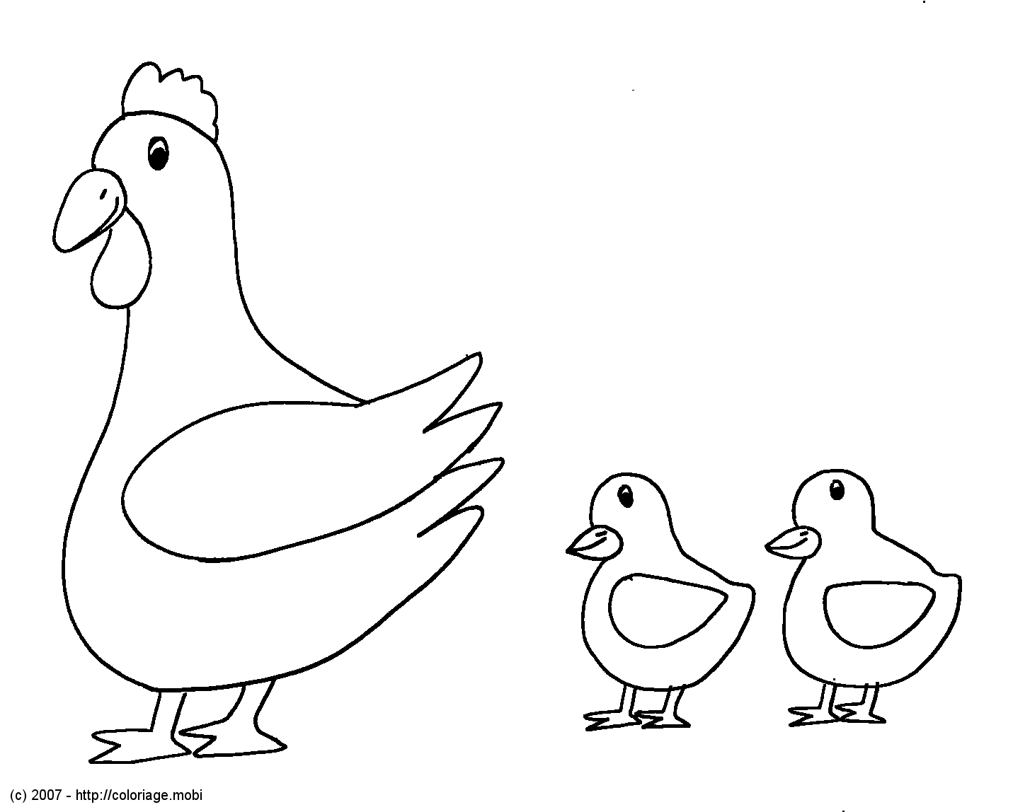 Раскраска: курица (Животные) #17238 - Бесплатные раскраски для печати