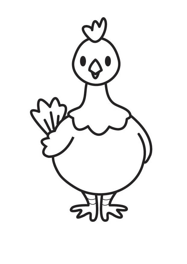 Раскраска: курица (Животные) #17253 - Бесплатные раскраски для печати
