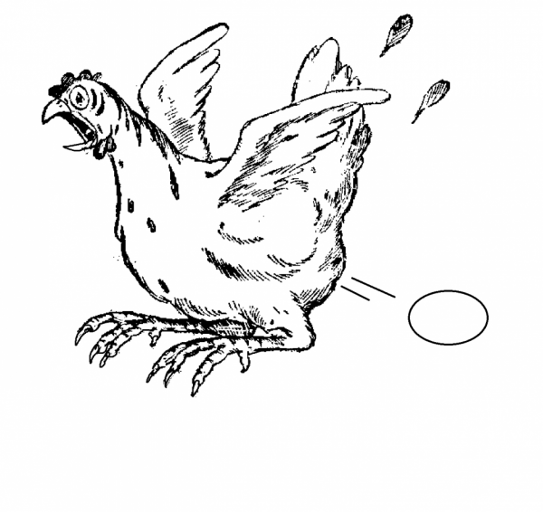 Раскраска: курица (Животные) #17256 - Бесплатные раскраски для печати