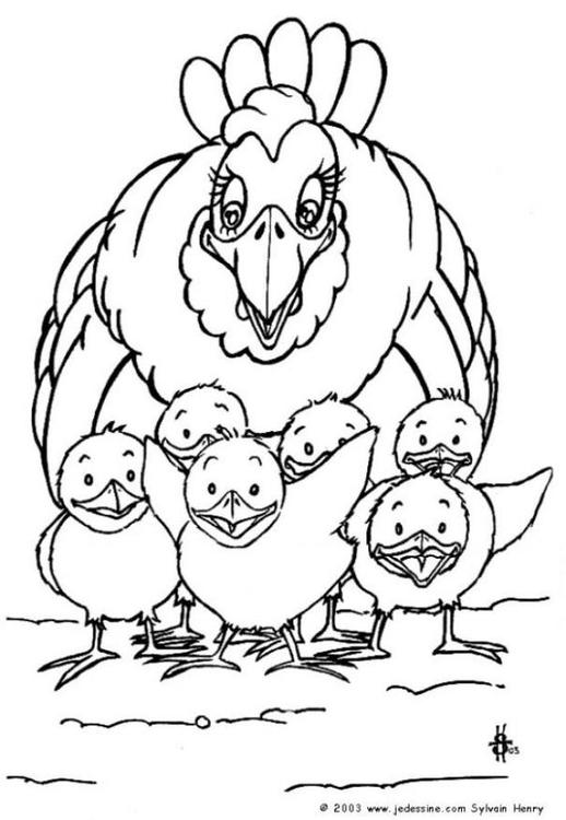 Раскраска: курица (Животные) #17310 - Бесплатные раскраски для печати