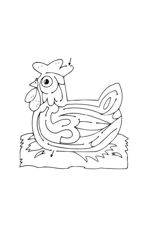 Раскраска: курица (Животные) #17327 - Бесплатные раскраски для печати