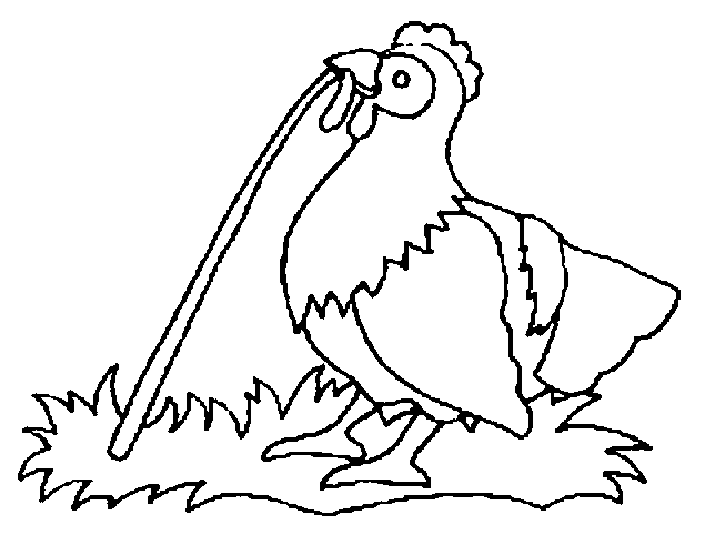 Раскраска: курица (Животные) #17342 - Бесплатные раскраски для печати