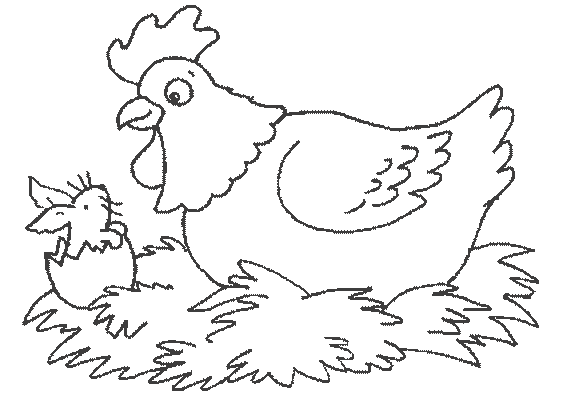 Раскраска: курица (Животные) #17350 - Бесплатные раскраски для печати