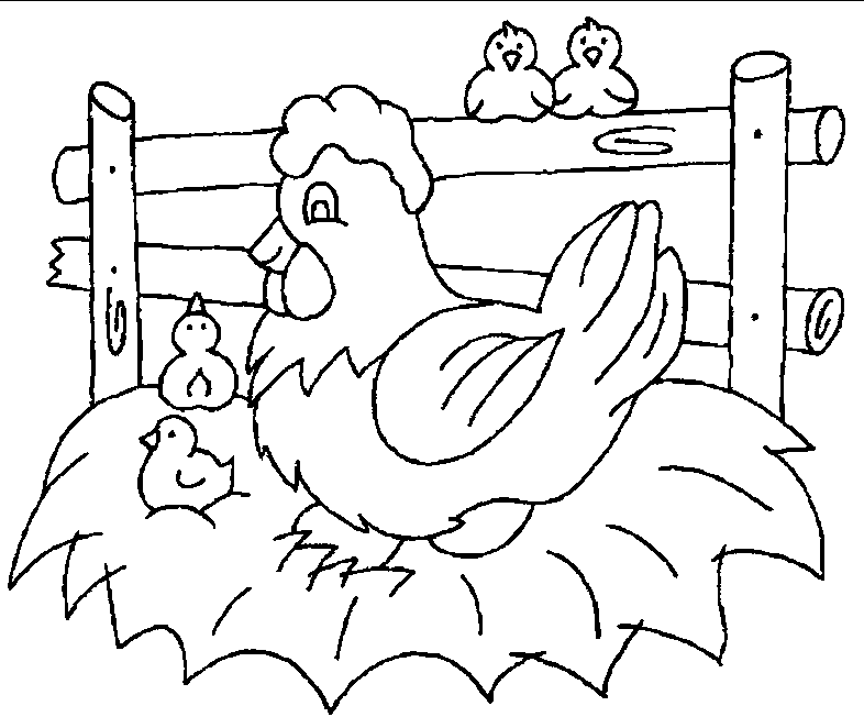 Раскраска: курица (Животные) #17384 - Бесплатные раскраски для печати