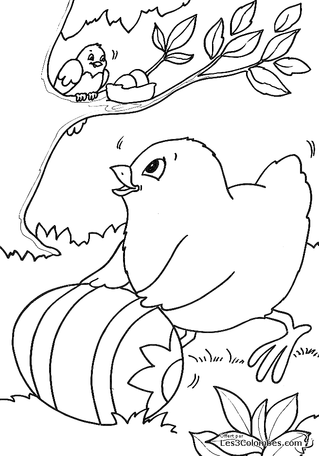 Раскраска: курица (Животные) #17385 - Бесплатные раскраски для печати