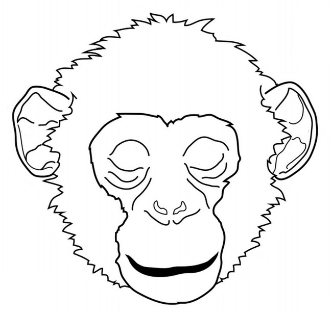 Раскраска: шимпанзе (Животные) #2773 - Бесплатные раскраски для печати