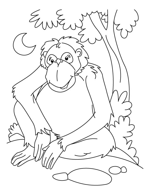 Раскраска: шимпанзе (Животные) #2827 - Бесплатные раскраски для печати