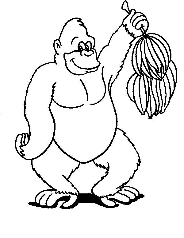 Раскраска: шимпанзе (Животные) #2844 - Бесплатные раскраски для печати