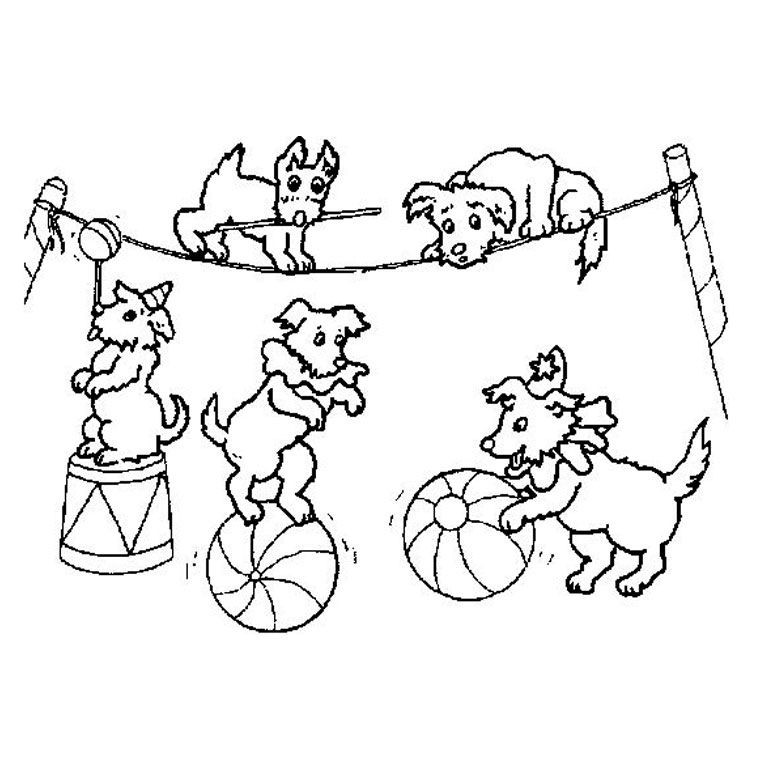 Раскраска: Цирковые животные (Животные) #20780 - Бесплатные раскраски для печати