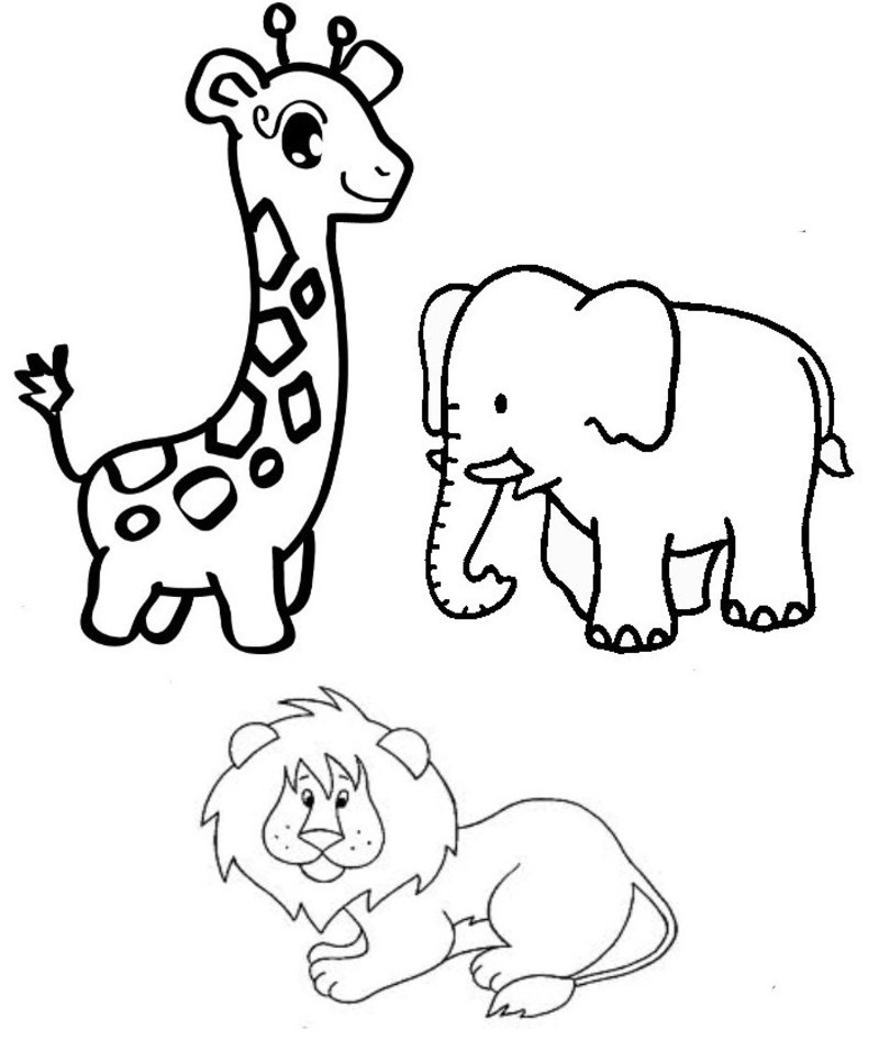Животные группами раскраски. Фигуры животных для раскрашивания. Раскраски животные средние. Раскраски для малышей 2-3 года животные. Раскраски животные средняя группа.