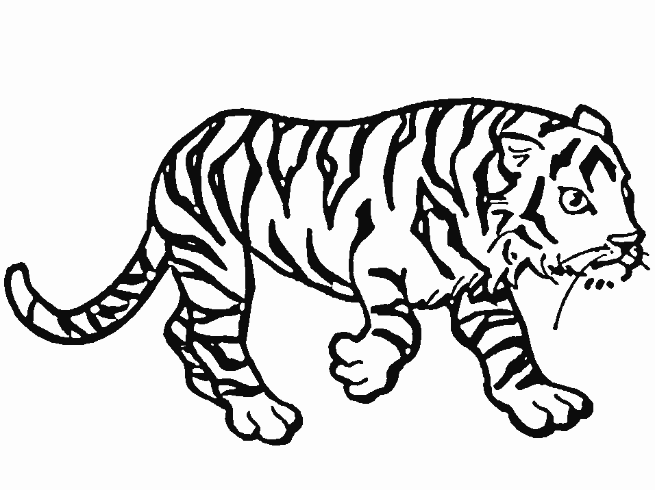 Раскраска: Цирковые животные (Животные) #20795 - Бесплатные раскраски для печати