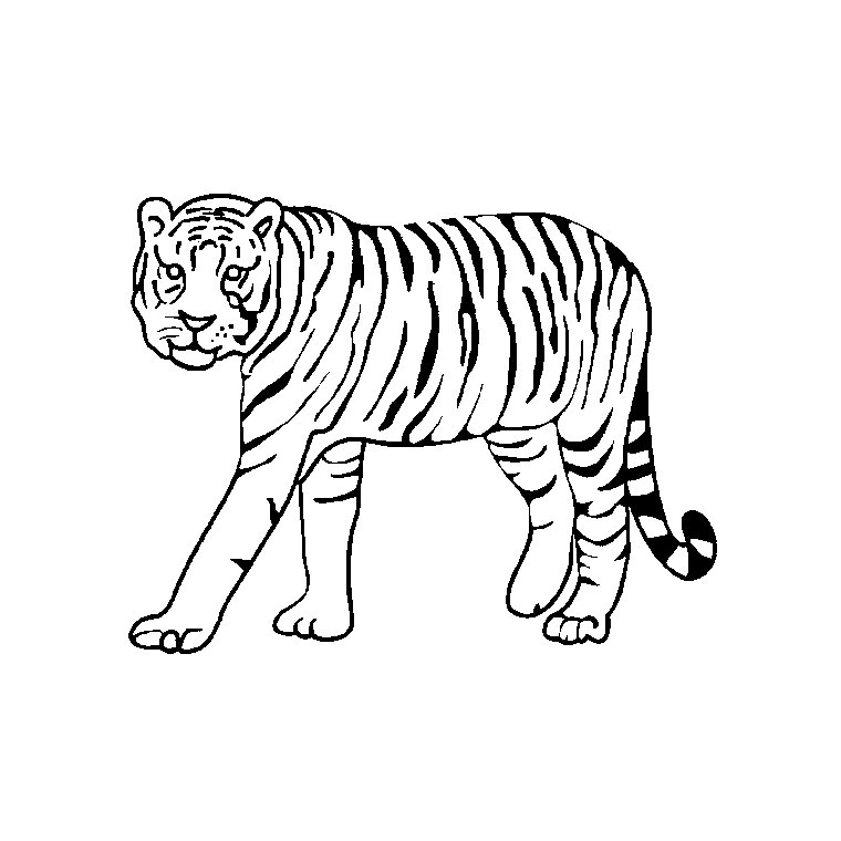 Раскраска: Цирковые животные (Животные) #20845 - Бесплатные раскраски для печати