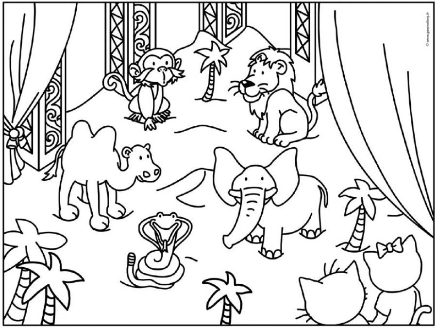 Раскраска: Цирковые животные (Животные) #20891 - Бесплатные раскраски для печати