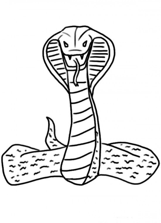 Раскраска: кобра (Животные) #3228 - Бесплатные раскраски для печати