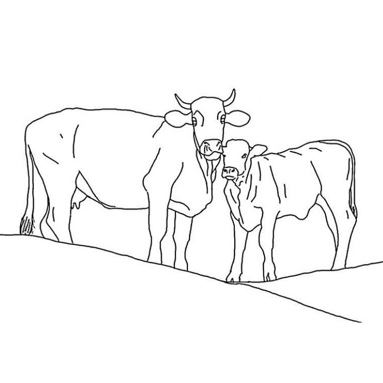 Раскраска: корова (Животные) #13194 - Бесплатные раскраски для печати