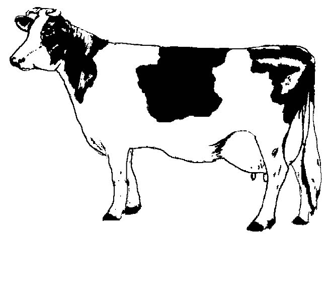 Раскраска: корова (Животные) #13196 - Бесплатные раскраски для печати