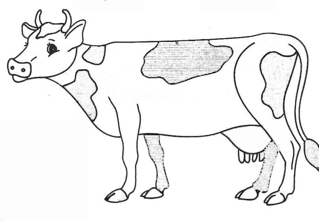 Раскраска: корова (Животные) #13227 - Бесплатные раскраски для печати