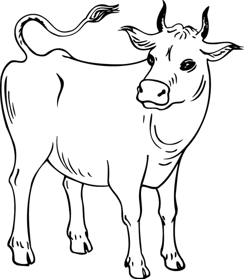 Раскраска: корова (Животные) #13248 - Бесплатные раскраски для печати
