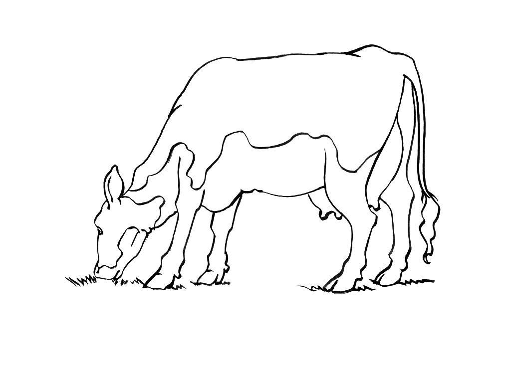 Раскраска: корова (Животные) #13347 - Бесплатные раскраски для печати