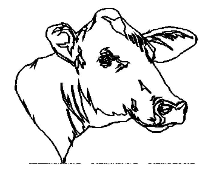 Раскраска: корова (Животные) #13380 - Бесплатные раскраски для печати