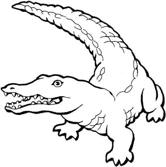 Раскраска: крокодил (Животные) #4793 - Бесплатные раскраски для печати