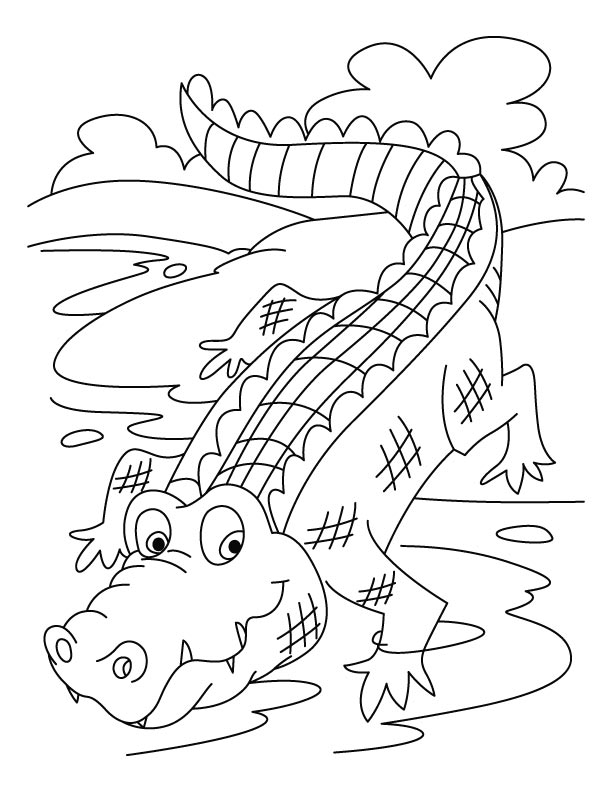 Раскраска: крокодил (Животные) #4811 - Бесплатные раскраски для печати