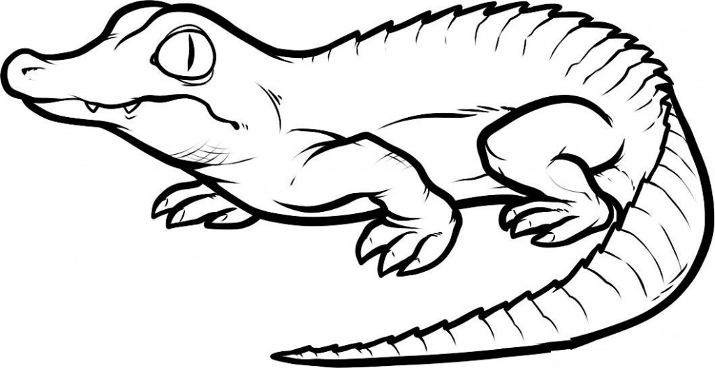 Раскраска: крокодил (Животные) #4812 - Бесплатные раскраски для печати