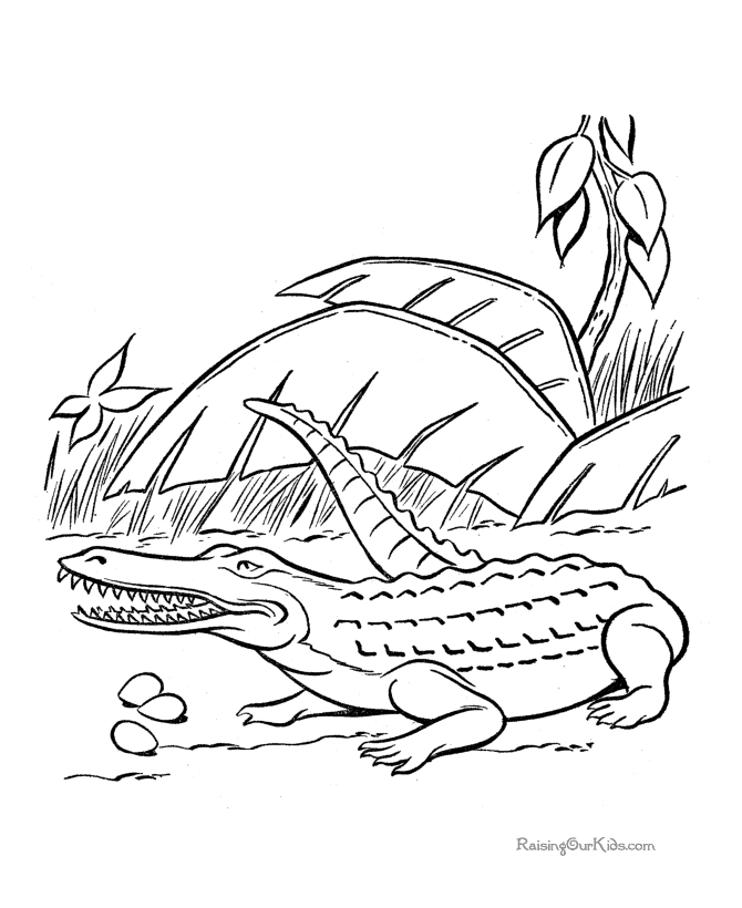 Раскраска: крокодил (Животные) #4827 - Бесплатные раскраски для печати
