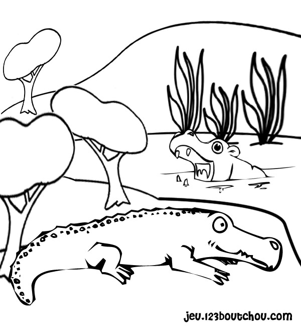 Раскраска: крокодил (Животные) #4837 - Бесплатные раскраски для печати