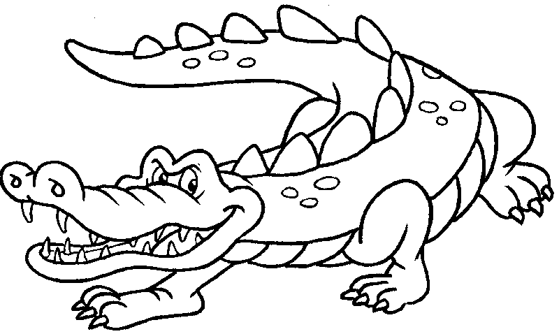 Раскраска: крокодил (Животные) #4847 - Бесплатные раскраски для печати
